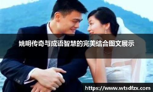 姚明传奇与成语智慧的完美结合图文展示