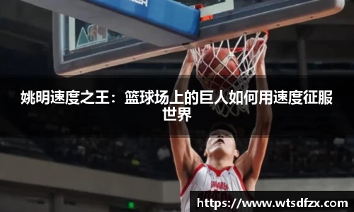 姚明速度之王：篮球场上的巨人如何用速度征服世界